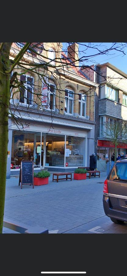 Gastenverblijf De Arend Nieuwpoort Buitenkant foto